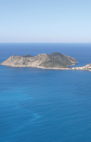 assos